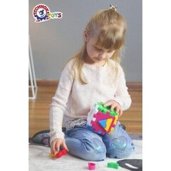 Žaislinis kubas Technok 2452 цена и информация | Игрушки для малышей | pigu.lt