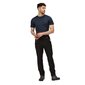 Žygio kelnės vyrams Regatta Highton Walking Trousers 5051522785130 kaina ir informacija | Vyriškos kelnės | pigu.lt