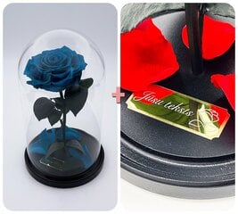 Роза в колбе M, цвета Тиффани (25 см выс. / 15 см шир.) + гравировка цена и информация | Спящие стабилизированные розы, растения | pigu.lt