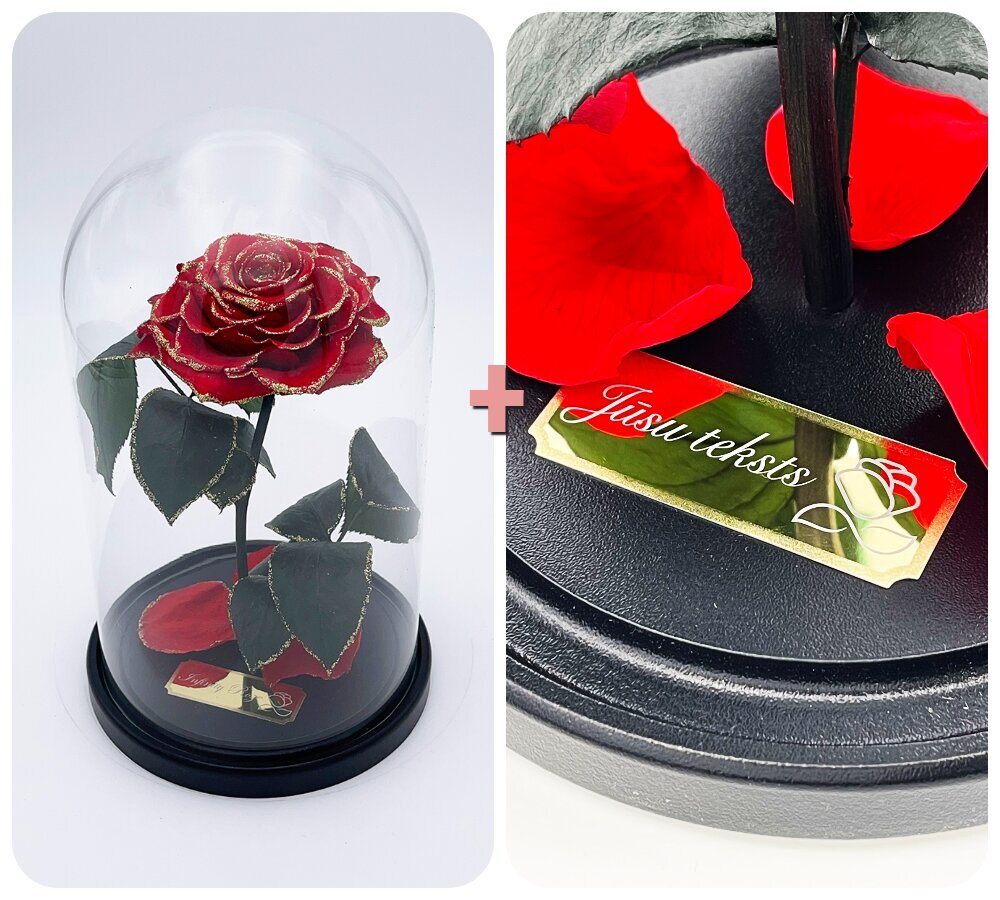 Rožė kolboje (mieganti rožė) M, Raudona Gold (25 cm aukščio / 15 cm pločio) + graviruota kaina ir informacija | Miegančios rožės, stabilizuoti augalai | pigu.lt