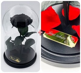 Роза в колбе L, Черная (30 см выс. / 19 см шир.) + гравировка цена и информация | Спящие стабилизированные розы, растения | pigu.lt