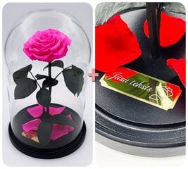 Роза в колбе L, Ярко розовая (30 см выс. / 19 см шир.) + гравировка цена и информация | Спящие стабилизированные розы, растения | pigu.lt