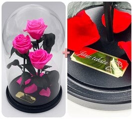 Rožė kolboje (mieganti rožė) Trinity, Ryški rožinė spalva (30 cm aukščio / 19 cm pločio) + graviruota kaina ir informacija | Miegančios rožės, stabilizuoti augalai | pigu.lt