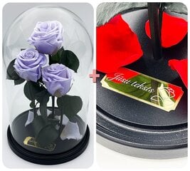 Роза в колбе Trinity,  цвета Лаванды (30 см выс. / 19 см шир.) + гравировка цена и информация | Спящие стабилизированные розы, растения | pigu.lt