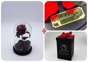 Роза в колбе S, Бордовая (20 см выс. / 12,5  см шир.) + гравировка + коробка с Вау-эффектом цена и информация | Спящие стабилизированные розы, растения | pigu.lt