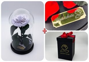 Rožė kolboje (mieganti rožė) M, Levandų (25 cm aukščio / 15 cm pločio) + graviruota + dėžutė su "wow" efektu kaina ir informacija | Miegančios rožės, stabilizuoti augalai | pigu.lt