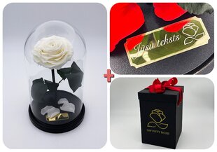 Роза в колбе M, Белая (25 см выс. / 15 см шир.) + гравировка + коробка с Вау-эффектом цена и информация | Спящие стабилизированные розы, растения | pigu.lt