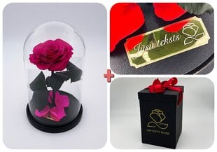 Rožė kolboje (mieganti rožė) M, Fuksija (25 cm aukščio / 15 cm pločio) + graviruota + dėžutė su "wow" efektu kaina ir informacija | Miegančios rožės, stabilizuoti augalai | pigu.lt
