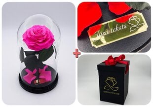 Rožė kolboje (mieganti rožė) M, Ryški rožinė spalva (25 cm aukščio / 15 cm pločio) + graviruota + dėžutė su "wow" efektu kaina ir informacija | Miegančios rožės, stabilizuoti augalai | pigu.lt