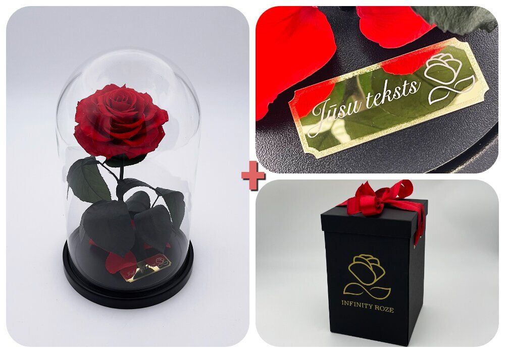 Rožė kolboje (mieganti rožė) M, Raudona (25 cm aukščio / 15 cm pločio) + graviruota + dėžutė su "wow" efektu цена и информация | Miegančios rožės, stabilizuoti augalai | pigu.lt