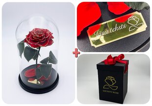 Роза в колбе M, Красная Gold (25 см выс. / 15 см шир.) + гравировка + коробка с Вау-эффектом цена и информация | Спящие стабилизированные розы, растения | pigu.lt