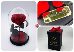 Роза в колбе M, в форме сердца (25 см выс. / 15 см шир.) + гравировка + коробка с Вау-эффектом цена и информация | Спящие стабилизированные розы, растения | pigu.lt