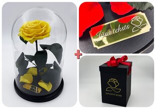Rožė kolboje (mieganti rožė) L + dėžutė kaina ir informacija | Miegančios rožės, stabilizuoti augalai | pigu.lt