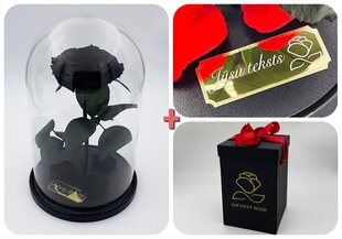 Роза в колбе L, Черная (30 см выс. / 19 см шир.) + гравировка + Коробка с Вау-эффектом цена и информация | Спящие стабилизированные розы, растения | pigu.lt