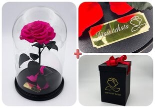 Роза в колбе L, цвета Фуксии (30 см выс. / 19 см шир.) + гравировка + Коробка с Вау-эффектом цена и информация | Спящие стабилизированные розы, растения | pigu.lt