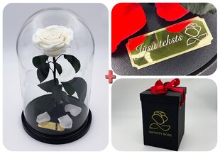 Rožė kolboje (mieganti rožė) L + dėžutė kaina ir informacija | Miegančios rožės, stabilizuoti augalai | pigu.lt
