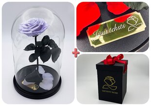 Rožė kolboje (mieganti rožė) L, Levandų (30 cm aukščio / 19 cm pločio) + graviruota + dėžutė su "Wow" efektu kaina ir informacija | Miegančios rožės, stabilizuoti augalai | pigu.lt