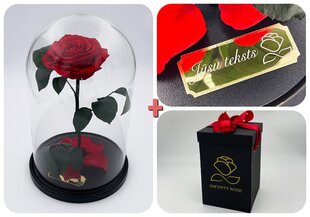 Rožė kolboje (mieganti rožė) L, Raudona (30 cm aukščio / 19 cm pločio) + graviruota + dėžutė su "Wow" efektu kaina ir informacija | Miegančios rožės, stabilizuoti augalai | pigu.lt