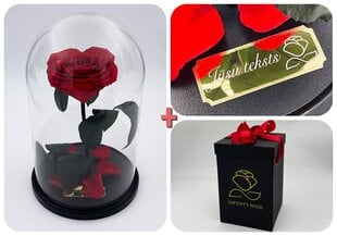Роза в колбе L, в форме сердца (30 см выс. / 19 см шир.) + гравировка + Коробка с Вау-эффектом цена и информация | Спящие стабилизированные розы, растения | pigu.lt
