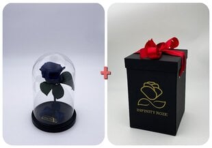 Роза в колбе S, Синяя (20 см выс. / 12,5 см шир.) + коробка с Вау-эффектом цена и информация | Спящие стабилизированные розы, растения | pigu.lt