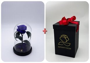 Роза в колбе S, Фиолетовая (20 см выс. / 12,5 см шир.) + коробка с Вау-эффектом цена и информация | Спящие стабилизированные розы, растения | pigu.lt