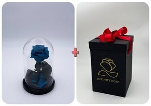 Rožė kolboje (mieganti rožė) S, Tiffany (20 cm aukščio / 12,5 cm pločio) + dėžutė su "Wow" efektu kaina ir informacija | Miegančios rožės, stabilizuoti augalai | pigu.lt