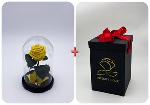 Роза в колбе S, Желтая (20 см выс. / 12,5 см шир.) + коробка с Вау-эффектом цена и информация | Спящие стабилизированные розы, растения | pigu.lt