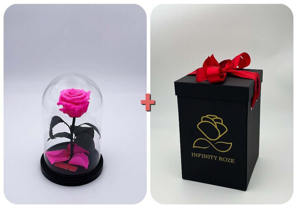 Rožė kolboje (mieganti rožė) S, Ryški rožinė spalva (20 cm aukščio / 12,5 cm pločio) + dėžutė su "Wow" efektu цена и информация | Miegančios rožės, stabilizuoti augalai | pigu.lt