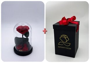 Rožė kolboje (mieganti rožė) S, širdies formos (20 cm aukščio / 12,5 cm pločio) + dėžutė su "Wow" efektu kaina ir informacija | Miegančios rožės, stabilizuoti augalai | pigu.lt