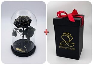 Роза в колбе M, Черная Gold (25 см выс. / 15 см шир.) + коробка с Вау-эффектом цена и информация | Спящие стабилизированные розы, растения | pigu.lt