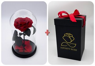 Роза в колбе M, в форме Сердца (25 см выс. / 15 см шир.) + коробка с Вау-эффектом цена и информация | Спящие стабилизированные розы, растения | pigu.lt