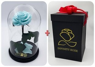 Rožė kolboje (mieganti rožė) L, Mėlyna (30 cm aukščio / 19 cm pločio) + dėžutė su "Wow" efektu kaina ir informacija | Miegančios rožės, stabilizuoti augalai | pigu.lt