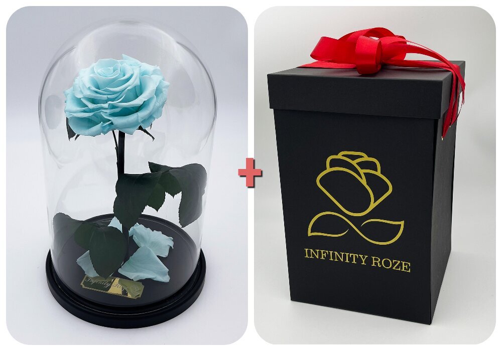 Rožė kolboje (mieganti rožė) L, Mėlyna (30 cm aukščio / 19 cm pločio) + dėžutė su "Wow" efektu kaina ir informacija | Miegančios rožės, stabilizuoti augalai | pigu.lt