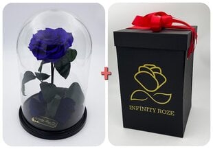 Роза в колбе L, Фиолетовая (30 см выс. / 19 см шир.) + Коробка с Вау-эффектом цена и информация | Спящие стабилизированные розы, растения | pigu.lt
