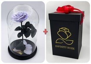 Роза в колбе L, цвета Лаванды (30 см выс. / 19 см шир.) + Коробка с Вау-эффектом цена и информация | Спящие стабилизированные розы, растения | pigu.lt