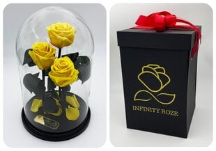 Роза в колбе Trinity, Розовая (30 cм выс. / 19 cм шир.) + Коробка с Вау-эффектом цена и информация | Спящие стабилизированные розы, растения | pigu.lt