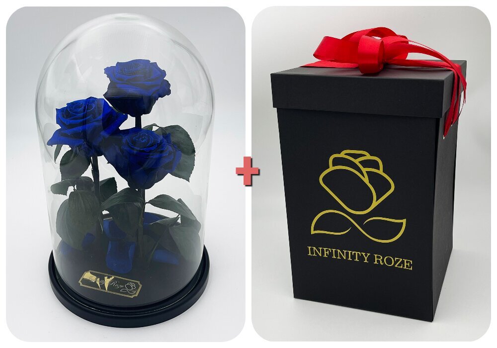 Rožė kolboje (mieganti rožė) Trinity, Mėlyna (30 cm aukščio / 19 cm pločio) + dėžutė su "Wow" efektu цена и информация | Miegančios rožės, stabilizuoti augalai | pigu.lt