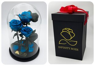 Роза в колбе Trinity, цвета Тиффани (30 см выс. / 19 см шир.) + Коробка с Вау-эффектом цена и информация | Спящие стабилизированные розы, растения | pigu.lt