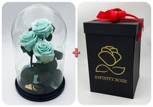 Роза в колбе Trinity, Голубая (30 cм выс. / 19 cм шир.) + Коробка с Вау-эффектом цена и информация | Спящие стабилизированные розы, растения | pigu.lt