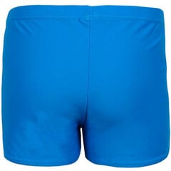 Плавательные шорты для мальчика Кроуэлл Ленни col.03, синий/зеленый цена и информация | Плавательные шорты для мальчиков. | pigu.lt