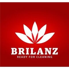 Губки для посуды BRILANZ, 10 шт. цена и информация | Brilanz Товары для сада | pigu.lt