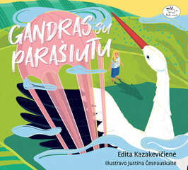 Gandras su parašiutu цена и информация | Книги для детей | pigu.lt