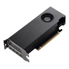 PNY Nvidia RTX A2000 kaina ir informacija | Vaizdo plokštės (GPU) | pigu.lt