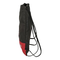 Сумка-рюкзак на шнурках Harry Potter Witchcraft цена и информация | Школьные рюкзаки, спортивные сумки | pigu.lt