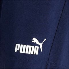 Спортивные мужские шорты Puma Essentials цена и информация | Мужские термобрюки, темно-синие, SMA61007 | pigu.lt