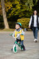 Balansinis dviratukas - Baby Mix Fast, 10 colių, žalias kaina ir informacija | Balansiniai dviratukai | pigu.lt