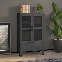 vidaXL Spintelė daiktams, antracito, 70x40x115cm, metalas цена и информация | Шкафчики в гостиную | pigu.lt