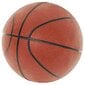 Nešiojamas krepšinio rinkinys, reguliuojamas nuo 180–230cm kaina ir informacija | Krepšinio stovai | pigu.lt