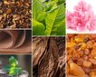 3 Kvapiųjų žvakių rinkinys: Tobacco&Leather, Oud&Bergamote, Muscs Poudres kaina ir informacija | Žvakės, Žvakidės | pigu.lt