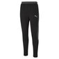 Laisvalaikio kelnės vyrams Puma EVOSTRIPE Pants Puma Black 58581301, juodos spalvos цена и информация | Vyriškos kelnės | pigu.lt